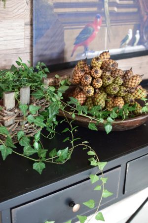 Raphia Palmenfrucht Zapfen Dekozapfen exotisch zapfendeko Trockenblumen Fruchtstand im Mrs Greenery Shop bestellen