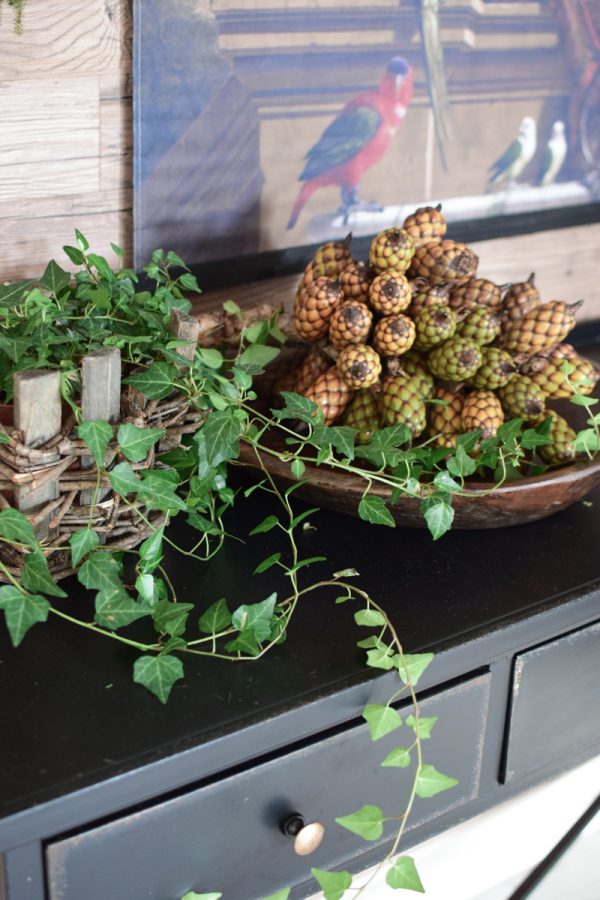 Raphia Palmenfrucht Zapfen Dekozapfen exotisch zapfendeko Trockenblumen Fruchtstand im Mrs Greenery Shop bestellen