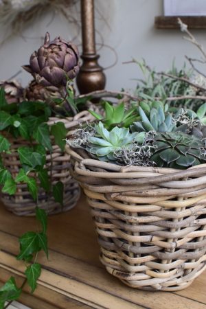Topf aus Rattan. Übertopf mit Folie. Wasserdicht für deine Pflanzen outdoor und indoor. Natürlich dekorieren mit Mrs Greenery Produkten