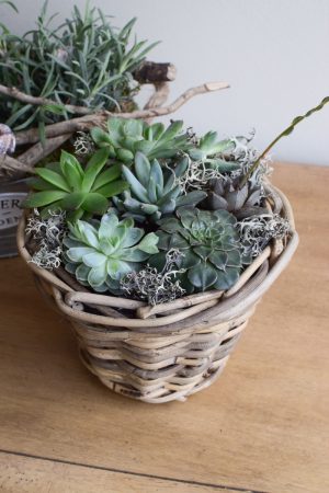 Topf aus Rattan. Übertopf mit Folie. Wasserdicht für deine Pflanzen outdoor und indoor. Natürlich dekorieren mit Mrs Greenery Produkten