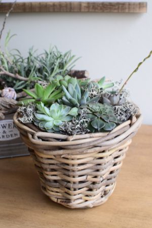 Topf aus Rattan. Übertopf mit Folie. Wasserdicht für deine Pflanzen outdoor und indoor. Natürlich dekorieren mit Mrs Greenery Produkten