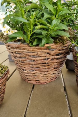 Rattantopf Rattankorb Übertopf Top Naturdeko Schale im Mrs Greenery Shop bestellen kaufen