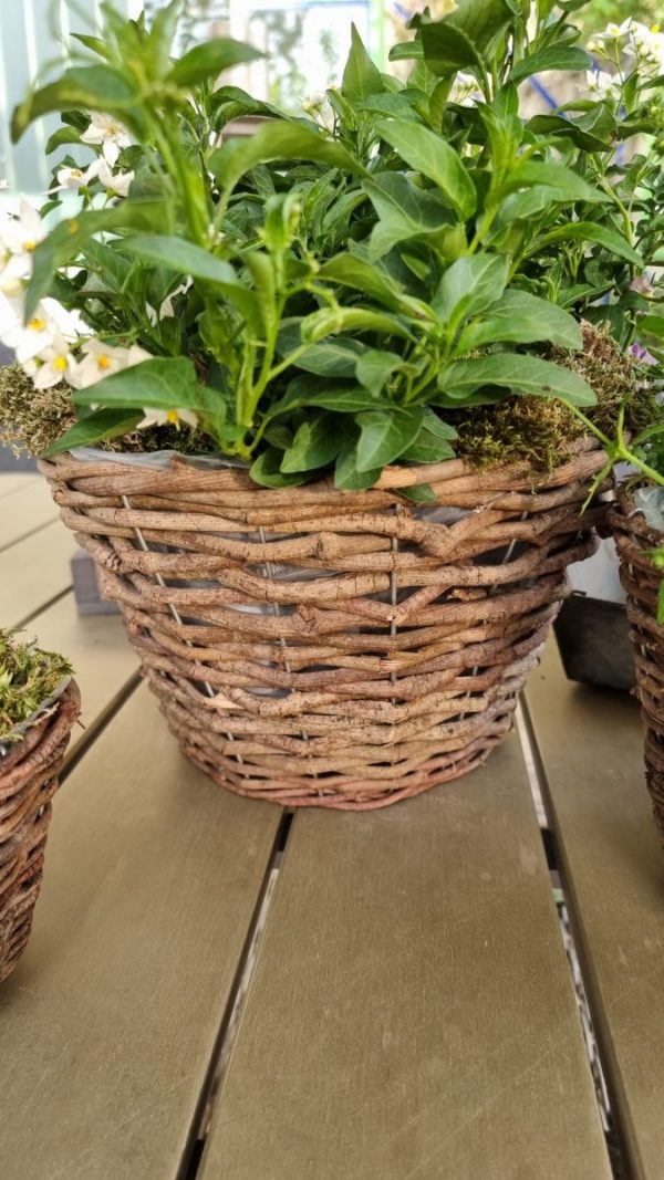 Rattantopf Rattankorb Übertopf Top Naturdeko Schale im Mrs Greenery Shop bestellen kaufen
