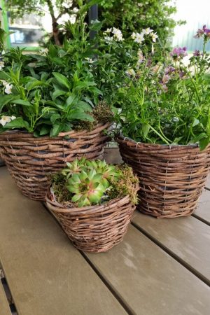 Rattantopf Rattankorb Übertopf Top Naturdeko Schale im Mrs Greenery Shop bestellen kaufen