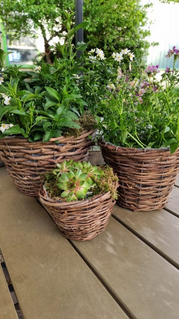 Rattantopf Rattankorb Übertopf Top Naturdeko Schale im Mrs Greenery Shop bestellen kaufen