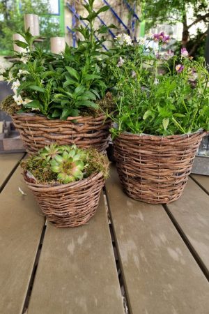 Rattantopf Rattankorb Übertopf Top Naturdeko Schale im Mrs Greenery Shop bestellen kaufen