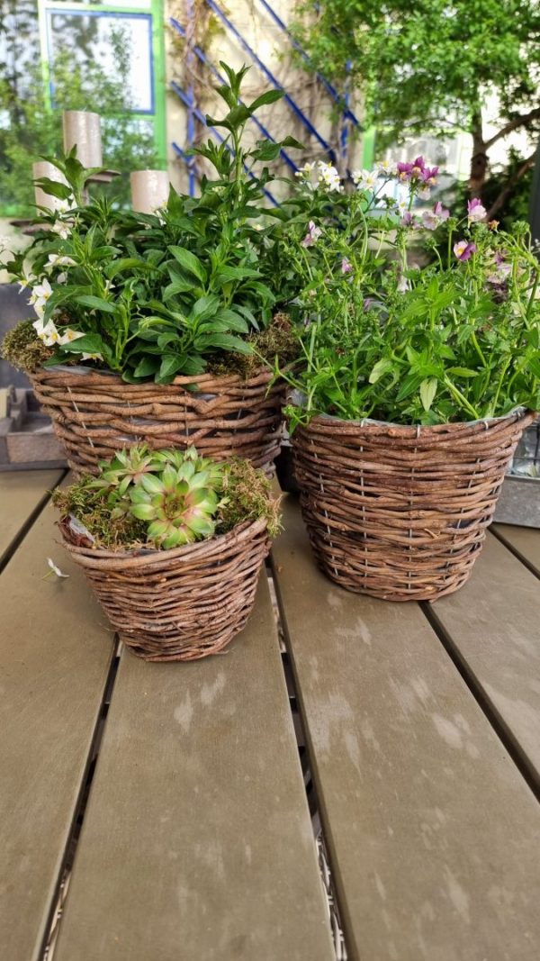 Rattantopf Rattankorb Übertopf Top Naturdeko Schale im Mrs Greenery Shop bestellen kaufen