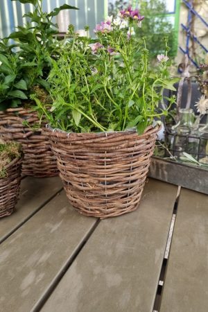 Rattantopf Rattankorb Übertopf Top Naturdeko Schale im Mrs Greenery Shop bestellen kaufen