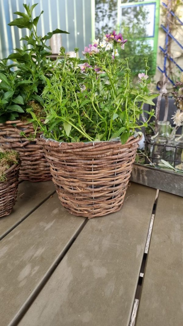 Rattantopf Rattankorb Übertopf Top Naturdeko Schale im Mrs Greenery Shop bestellen kaufen