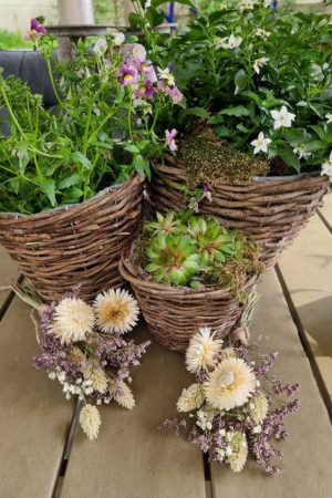 Rattantopf Rattankorb Übertopf Top Naturdeko Schale im Mrs Greenery Shop bestellen kaufen