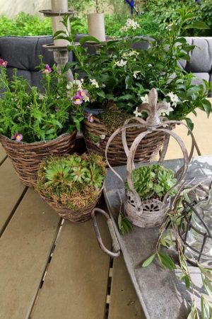 Rattantopf Rattankorb Übertopf Top Naturdeko Schale im Mrs Greenery Shop bestellen kaufen