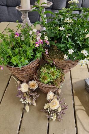 Rattantopf Rattankorb Übertopf Top Naturdeko Schale im Mrs Greenery Shop bestellen kaufen