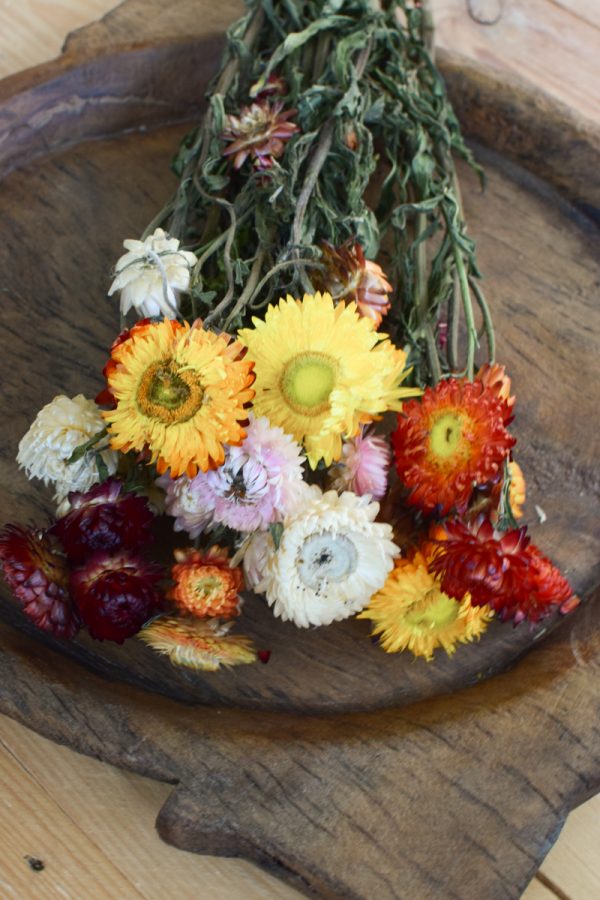 Strohblume Rhodante Trockenblume Blüten getrocknet zum Kreativsein Basteln vom Mrs Greenery Shop