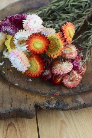 Strohblume Rhodante Trockenblume Blüten getrocknet zum Kreativsein Basteln vom Mrs Greenery Shop