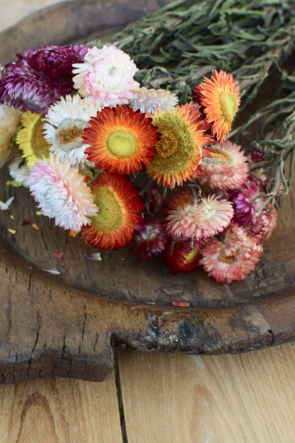 Strohblume Rhodante Trockenblume Blüten getrocknet zum Kreativsein Basteln vom Mrs Greenery Shop