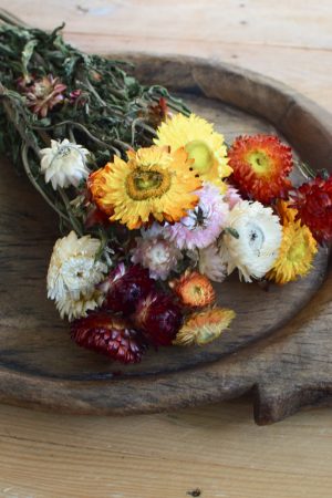 Strohblume Rhodante Trockenblume Blüten getrocknet zum Kreativsein Basteln vom Mrs Greenery Shop