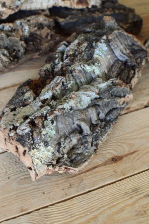 Dekorinde Rinde getrocknet Naturdeko Dekoidee im Mrs Greenery Shop bestellen