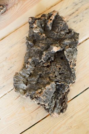 Dekorinde Rinde getrocknet Naturdeko Dekoidee im Mrs Greenery Shop bestellen