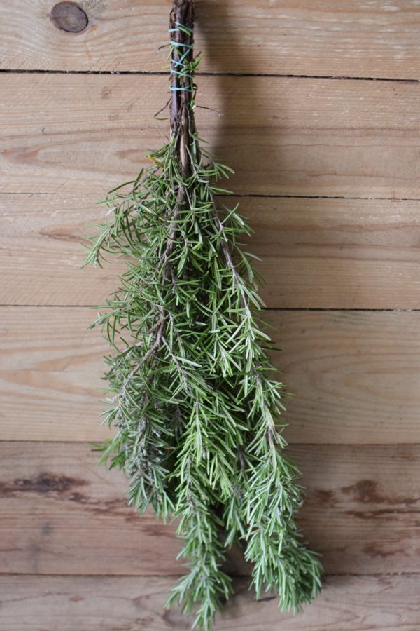 Rosmarin frisch im Bund Grün zum Kränzebinden im Mrs Greenery Shop bestellen kaufen