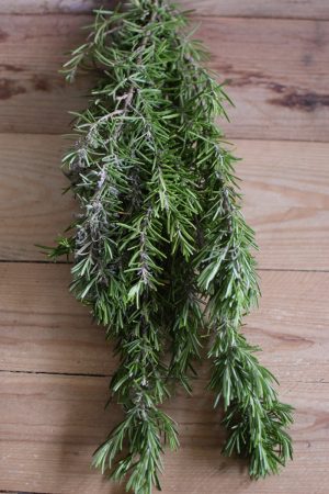 Rosmarin frisch im Bund Grün zum Kränzebinden im Mrs Greenery Shop bestellen kaufen