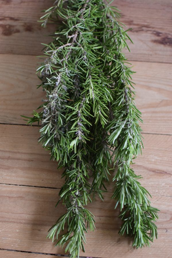 Rosmarin frisch im Bund Grün zum Kränzebinden im Mrs Greenery Shop bestellen kaufen