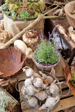 Rostschale rostige Schale Dekoidee Dekoschale Rost dekoration naturdeko im mrs greenery sh