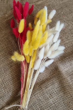 Samtgras gefärbt Farbe bunt trio Trockenblumen getrocknet Naturdeko im Mrs Greenery Shop bestellen kaufen