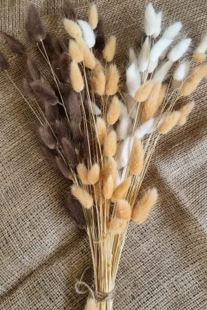 Samtgras gefärbt Farbe bunt trio Trockenblumen getrocknet Naturdeko im Mrs Greenery Shop bestellen kaufen