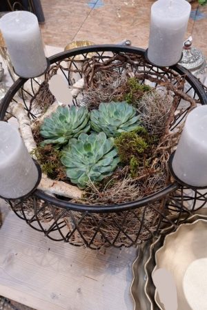 Schale Dekoschale mit Kerzenring Adventsdeko Adventskranz Kerzendeko Tischdeko Dekoschale im Mrs Greenery Shop kaufen bestellen