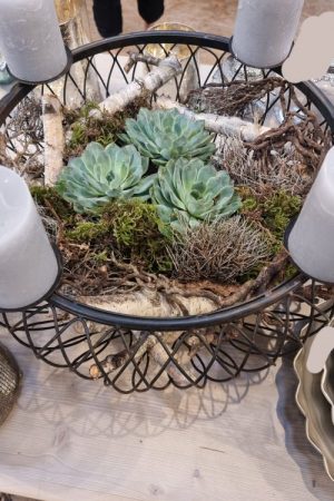 Schale Dekoschale mit Kerzenring Adventsdeko Adventskranz Kerzendeko Tischdeko Dekoschale im Mrs Greenery Shop kaufen bestellen