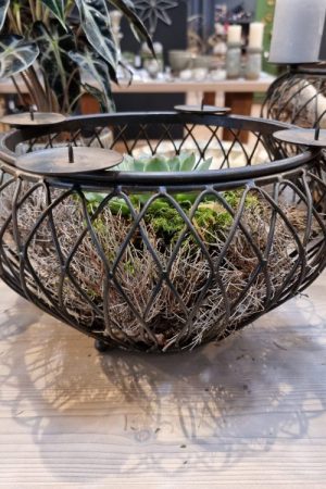 Schale Dekoschale mit Kerzenring Adventsdeko Adventskranz Kerzendeko Tischdeko Dekoschale im Mrs Greenery Shop kaufen bestellen