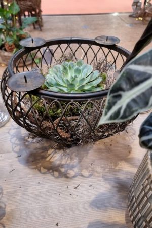 Schale Dekoschale mit Kerzenring Adventsdeko Adventskranz Kerzendeko Tischdeko Dekoschale im Mrs Greenery Shop kaufen bestellen