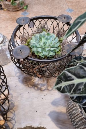 Schale Dekoschale mit Kerzenring Adventsdeko Adventskranz Kerzendeko Tischdeko Dekoschale im Mrs Greenery Shop kaufen bestellen