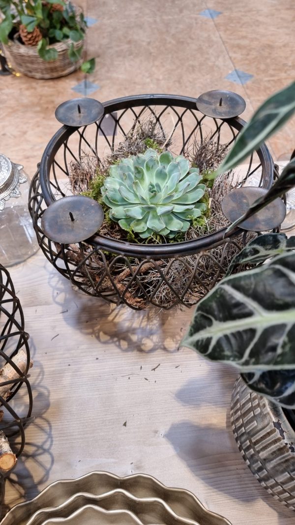Schale Dekoschale mit Kerzenring Adventsdeko Adventskranz Kerzendeko Tischdeko Dekoschale im Mrs Greenery Shop kaufen bestellen