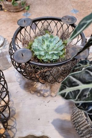 Schale Dekoschale mit Kerzenring Adventsdeko Adventskranz Kerzendeko Tischdeko Dekoschale im Mrs Greenery Shop kaufen bestellen