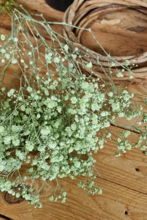 Schleierkraut frisch rosa pink violett grün mintgrün bund groß frisches grün im Mrs Greenery Shop bestellen kaufen