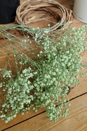 Schleierkraut frisch rosa pink violett grün mintgrün bund groß frisches grün im Mrs Greenery Shop bestellen kaufen