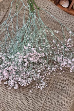 Schleierkraut frisch rosa pink violett bund groß frisches grün im Mrs Greenery Shop bestellen kaufen