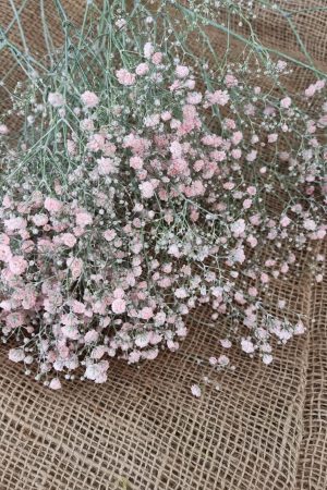 Schleierkraut frisch rosa pink violett bund groß frisches grün im Mrs Greenery Shop bestellen kaufen