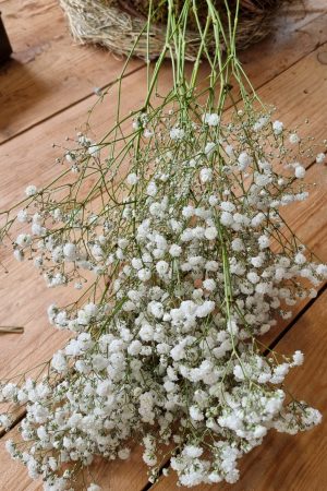 Schleierkraut frisch weiss bund groß frisches grün im Mrs Greenery Shop bestellen kaufen