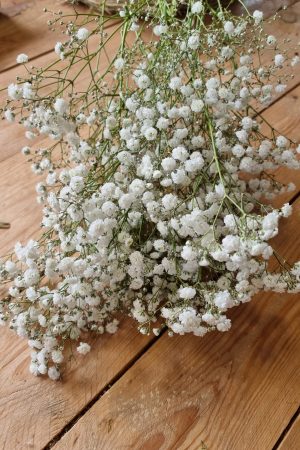 Schleierkraut frisch weiss bund groß frisches grün im Mrs Greenery Shop bestellen kaufen