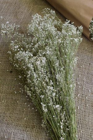 Scheierkraut getrocknet. Trockenblumen: Deko mit Naturmaterial frisch und getrocknet Naturdeko Kreativsein Basteln Dekoidee