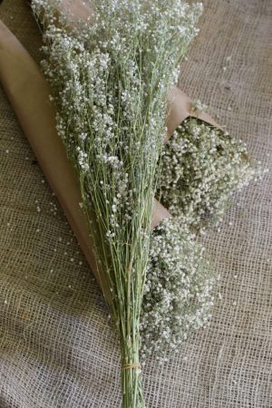 Scheierkraut getrocknet. Trockenblumen: Deko mit Naturmaterial frisch und getrocknet Naturdeko Kreativsein Basteln Dekoidee