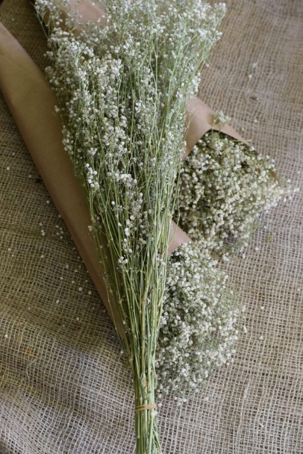 Scheierkraut getrocknet. Trockenblumen: Deko mit Naturmaterial frisch und getrocknet Naturdeko Kreativsein Basteln Dekoidee