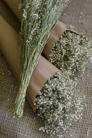 Scheierkraut getrocknet. Trockenblumen: Deko mit Naturmaterial frisch und getrocknet Naturdeko Kreativsein Basteln Dekoidee