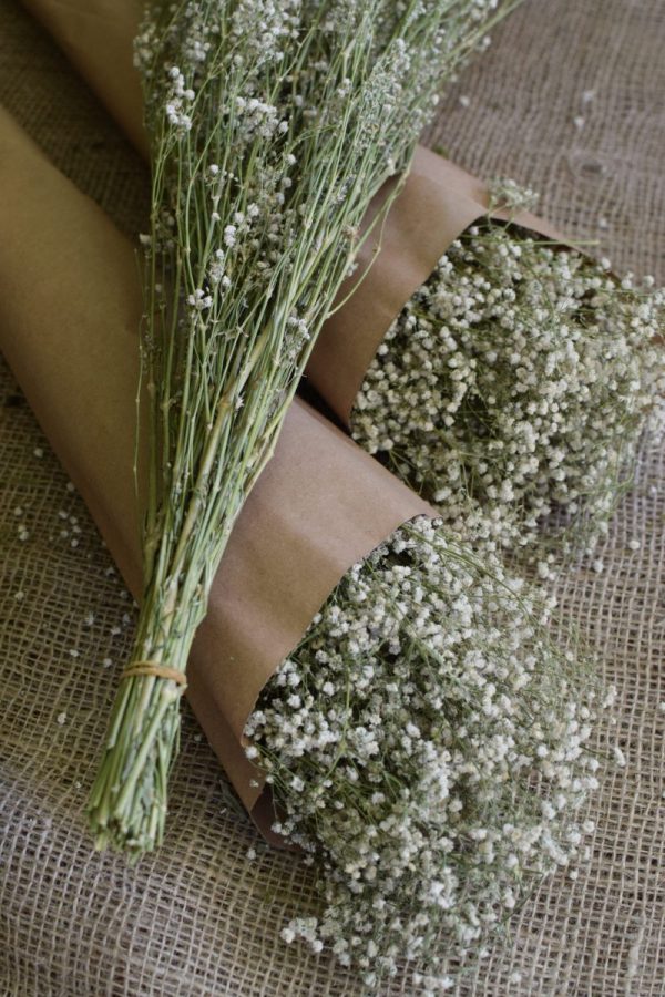 Scheierkraut getrocknet. Trockenblumen: Deko mit Naturmaterial frisch und getrocknet Naturdeko Kreativsein Basteln Dekoidee