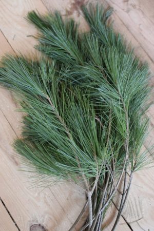 Seidenkiefer Kiefer Wintergruen Bund Tannengruen Kranz Kränze binden Weihnachtsgrün Deko
