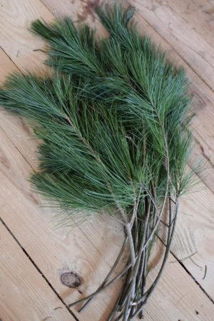 Seidenkiefer Kiefer Wintergruen Bund Tannengruen Kranz Kränze binden Weihnachtsgrün Deko