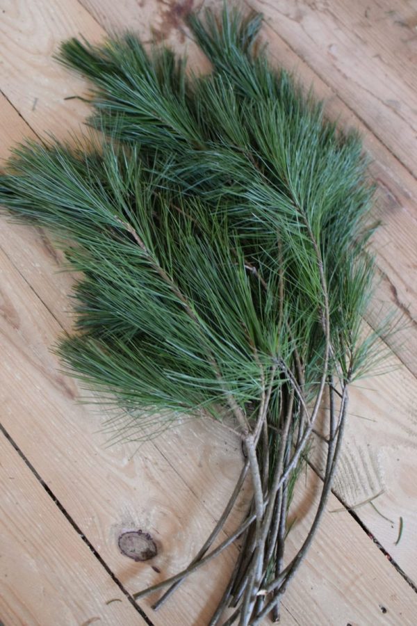 Seidenkiefer Kiefer Wintergruen Bund Tannengruen Kranz Kränze binden Weihnachtsgrün Deko