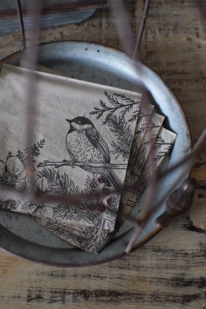Serviette Naturmotiv Vogel Tischdeko Deko Dekoidee
